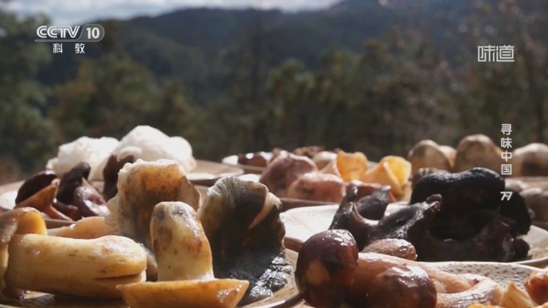 《味道》 20251203 寻味中国（77）