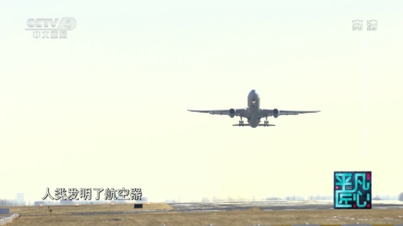 《平凡匠心》 20210828 我和它们是朋友·隋国辉/我和它们是朋友·田志伟