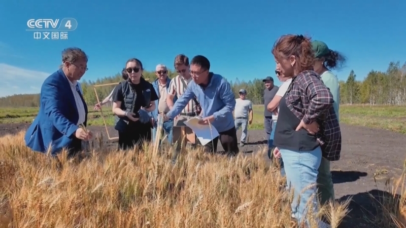 《大西北》 第10集 丝路新曲