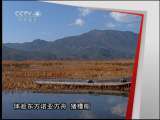 远方的家 寻找女儿国——泸沽湖