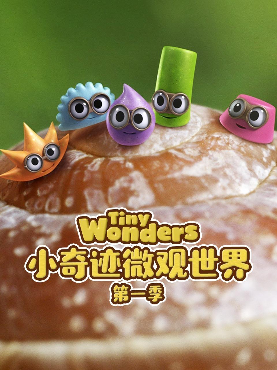 小奇迹微观世界 第一季