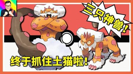 酷爱精灵宝可梦 第一季 抓获三只神兽 土地云到手 三云神集齐