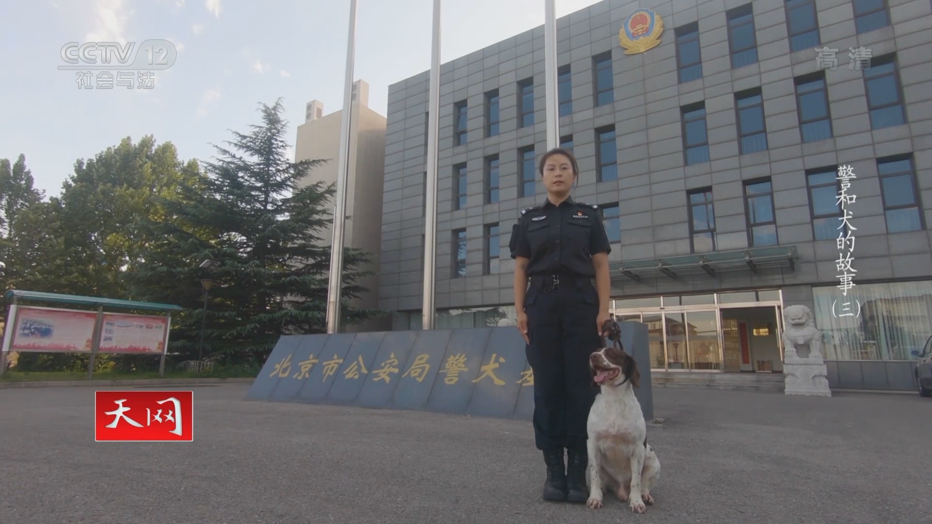 《天网》 20211231 系列节目《警和犬的故事》（3）