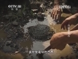 地理中国 《地理中国》 20140314 乌蒙黄金谷