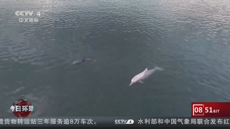 今日环球 《今日环球》 20260809