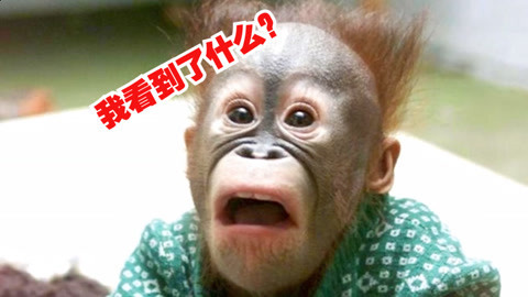 你拙劣演技让我目瞪口呆