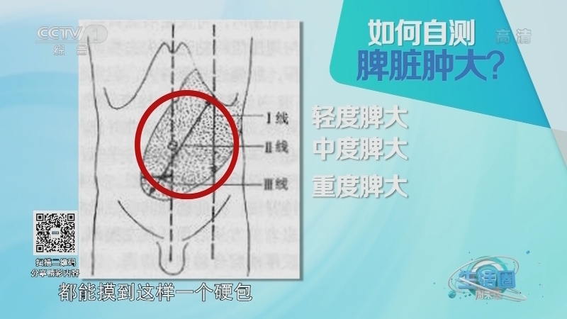 生活圈 《生活圈》 20201219