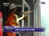 热线12 《热线12》 20170731
