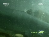 人与自然 《人与自然》 20151019 自然发现：飞越大瀑布