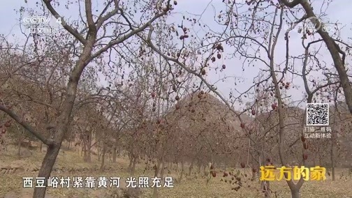 远方的家 《远方的家》 特别节目《大好河山》——守望长城（3） 长城脚下 高原沃土 20181029
