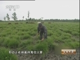 生财有道 [生财有道]不速之客带来意外之财（20121127）