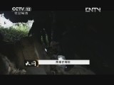 天网 [天网]熊掌在哪里(20130225)