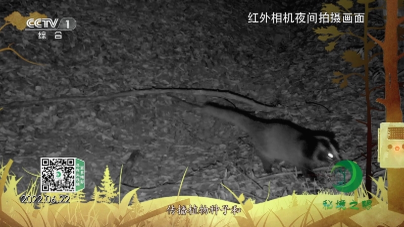秘境之眼 《秘境之眼》 果子狸 20230525