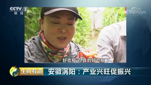 生财有道 《生财有道》 20190605 乡村振兴中国行 安徽涡阳：产业兴旺促振兴