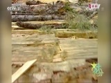 文化十分 《文化十分》 20151209