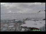 人与自然 人与自然 2009年 第168期 2010-11-24
