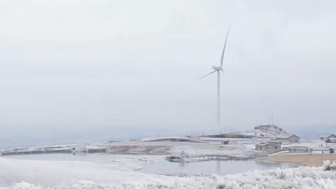 湖北新闻20210208