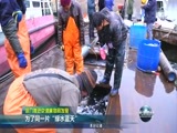 天津新闻 《天津新闻》 20170218