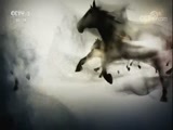 生财有道 《生财有道》 20171011 咱们家乡有特产（秋收系列）——走进抚松寻特产