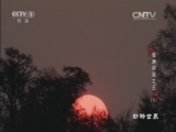 动物世界 《动物世界》 20160516 非洲河流之王（下）