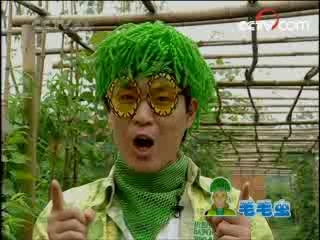 智慧树 智慧树 2008年 第188期