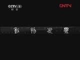 动物世界 《动物世界》 20120211