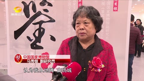 东方寻宝栏目全国民间海选赛宝大会 第四届赛宝大会公共0101报道