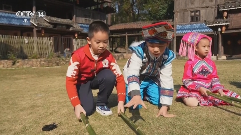 《智慧树》 20260224