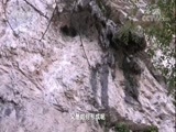 地理中国 《地理中国》 20171127 解密白石山（上）