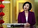 微讲堂 2015 诗词里的春节之人在旅途 150217