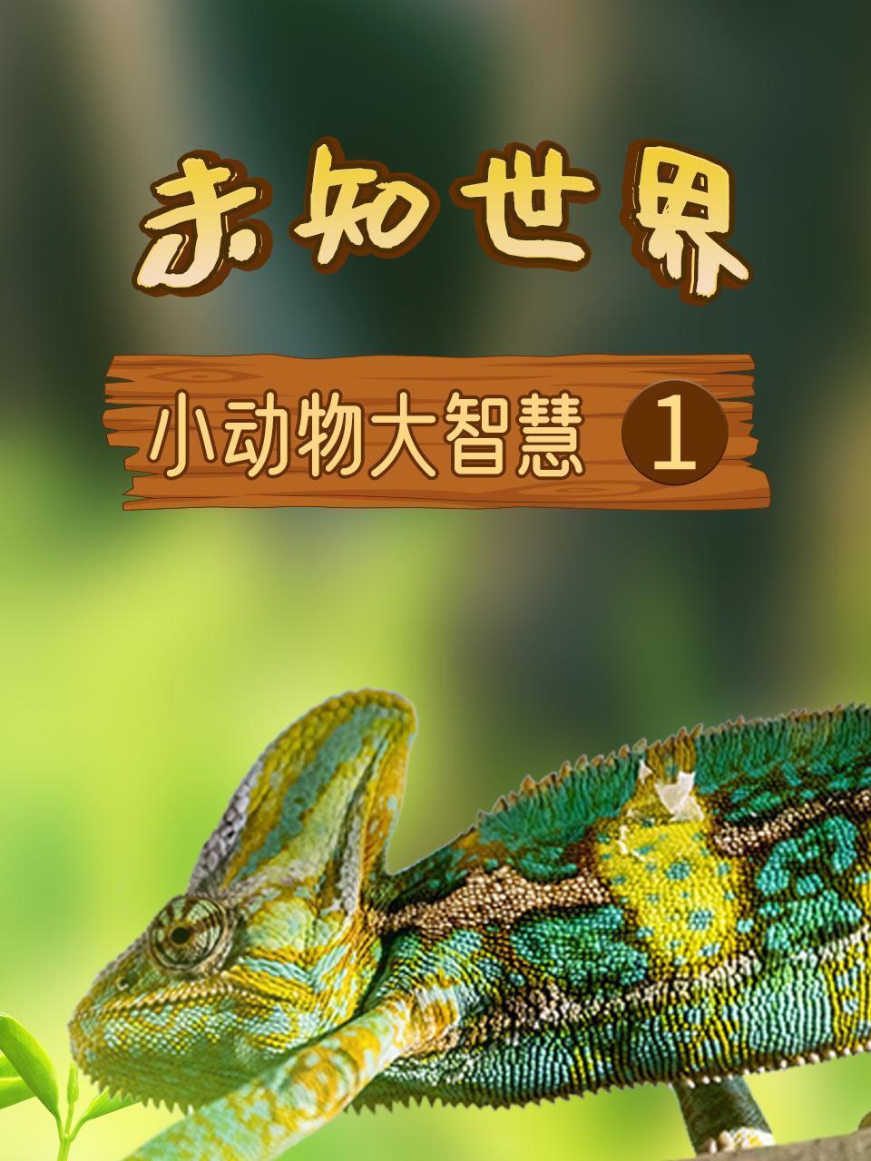 未知世界之小动物大智慧1