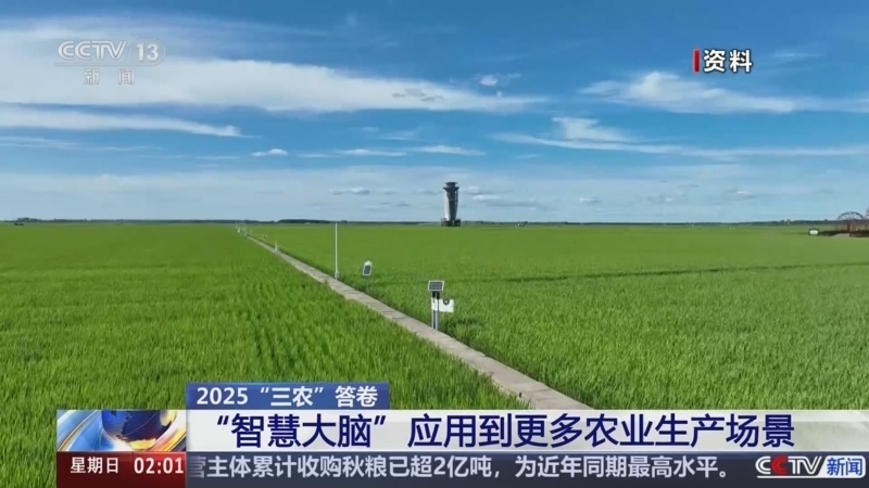 新闻直播间 《新闻直播间》 20251228 02:00