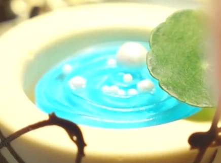 觅食迹 少女心爆棚的下午茶