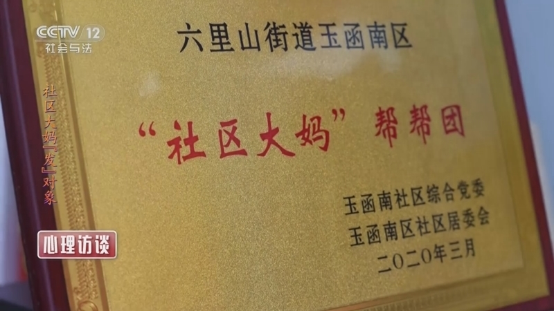 心理访谈 《心理访谈》 20230805 社区大妈“发”对象