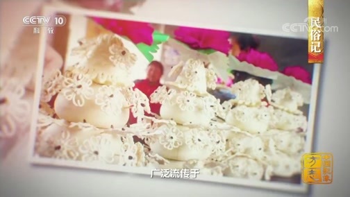 中国影像方志 《中国影像方志》 第358集 陕西大荔篇
