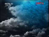 人与自然 《人与自然》 20111127 自然启示 自然高手（下）