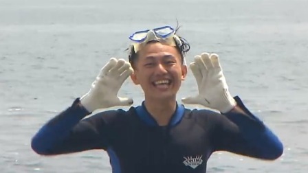 采摘台湾九孔小黄瓜