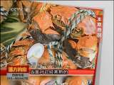 远方的家 苏州 上海美食行