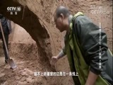 探索发现2018考古进行时第一季 《探索发现》 20180301 2018考古进行时 第一季 三门峡秦人墓葬
