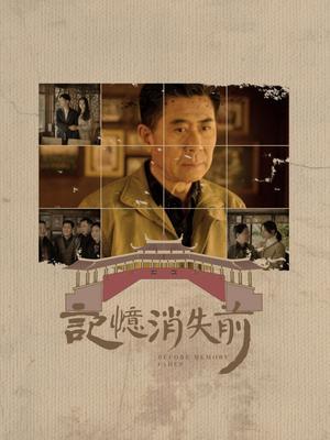 记忆消失前 海报