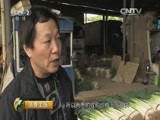 消费主张 《消费主张》 20160411 菜价还能涨多久（上）