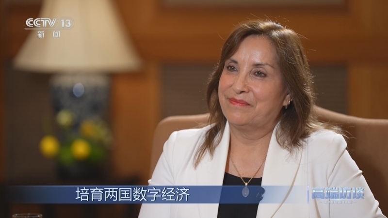 高端访谈 《高端访谈》 20240705 专访秘鲁总统博鲁阿尔特