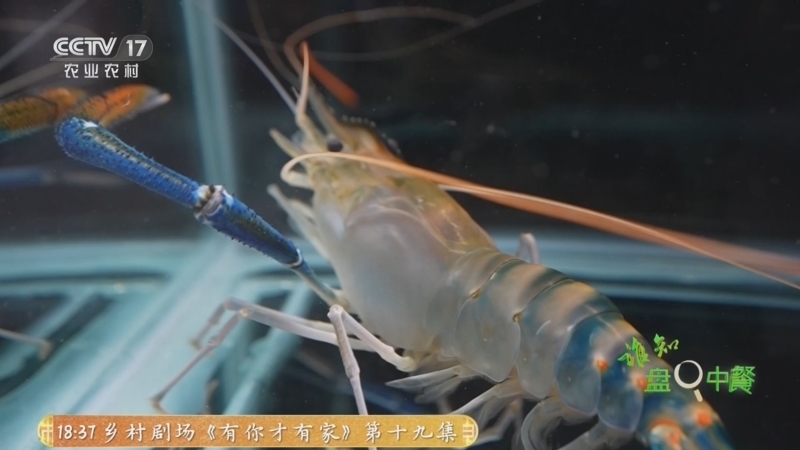 《谁知盘中餐》 20260115 新年知新味 新技术带来鲜滋味