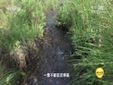 地理中国 《地理中国》 20180703 奇山异景·龙江探秘
