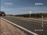 动物世界 《动物世界》 20130912 噜噜救了我的命