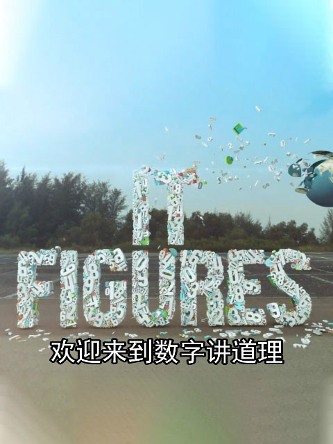 数据讲道理 海报