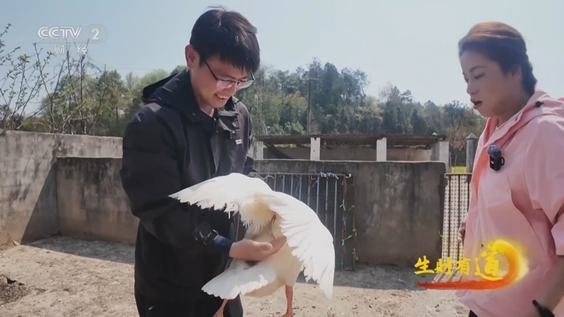 生财有道 《生财有道》 20250410 一片小羽毛 撬动大市场