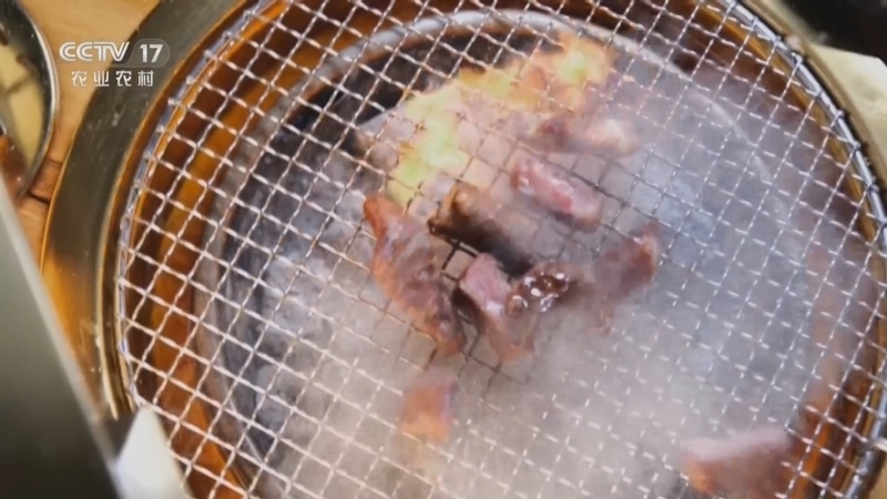 《谁知盘中餐》 20260130 新年知新味 羊羊贺新年