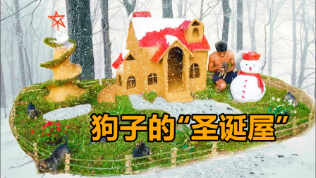 荒野建造者 第二季 哥俩造了个“圣诞礼物”给心爱的小狗们，总觉得缺点啥
