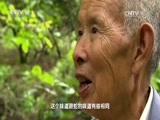 地理中国 《地理中国》 20170803 毒物追踪·怪草谜踪
